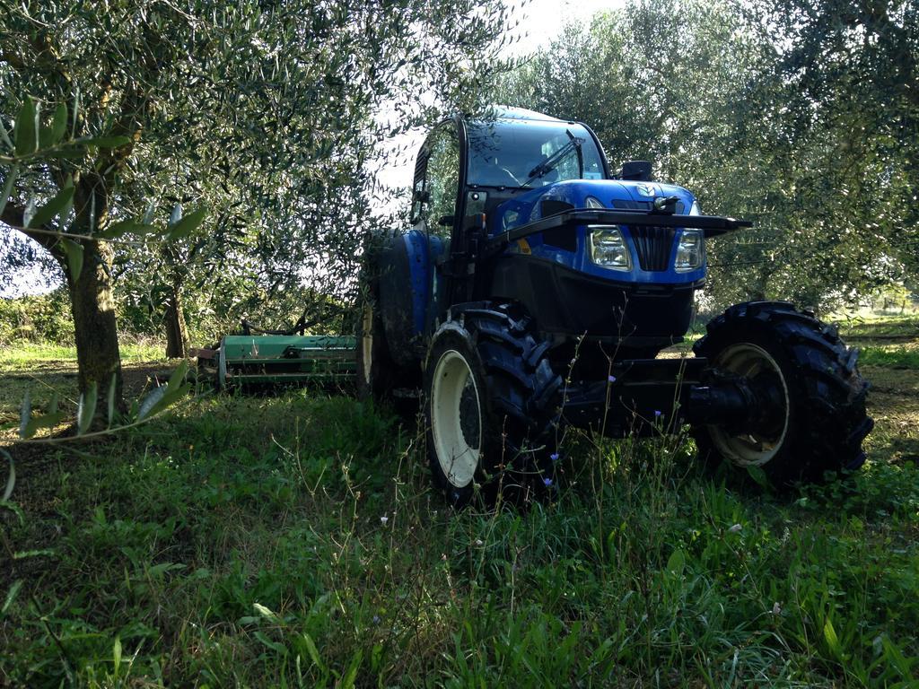 فيلا Fattoria Lucciano Borghetto  المظهر الخارجي الصورة