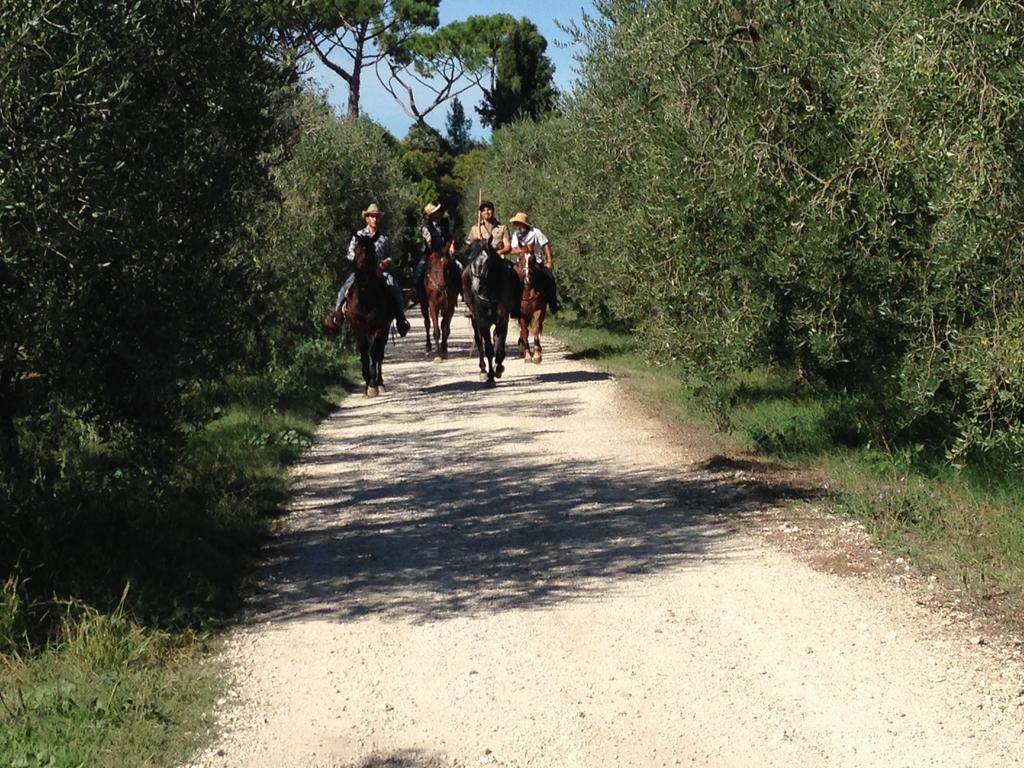 فيلا Fattoria Lucciano Borghetto  المظهر الخارجي الصورة