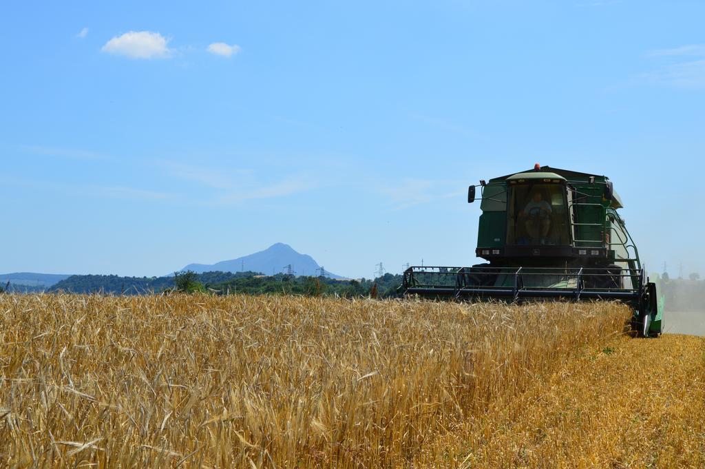 فيلا Fattoria Lucciano Borghetto  المظهر الخارجي الصورة