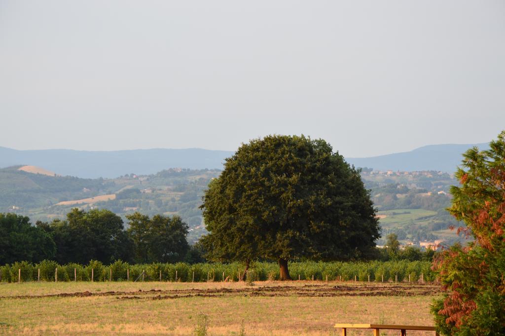 فيلا Fattoria Lucciano Borghetto  الغرفة الصورة
