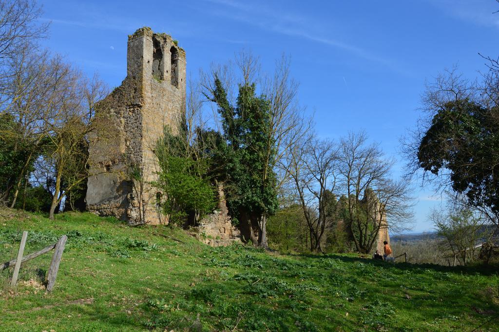 فيلا Fattoria Lucciano Borghetto  المظهر الخارجي الصورة