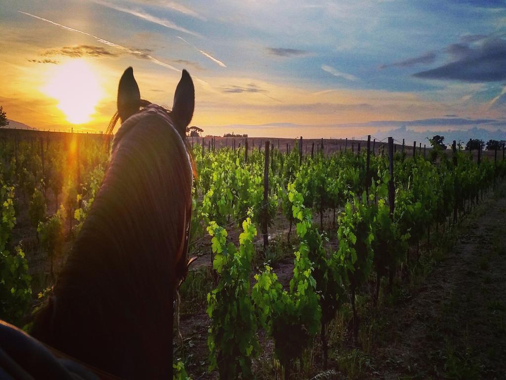 فيلا Fattoria Lucciano Borghetto  المظهر الخارجي الصورة
