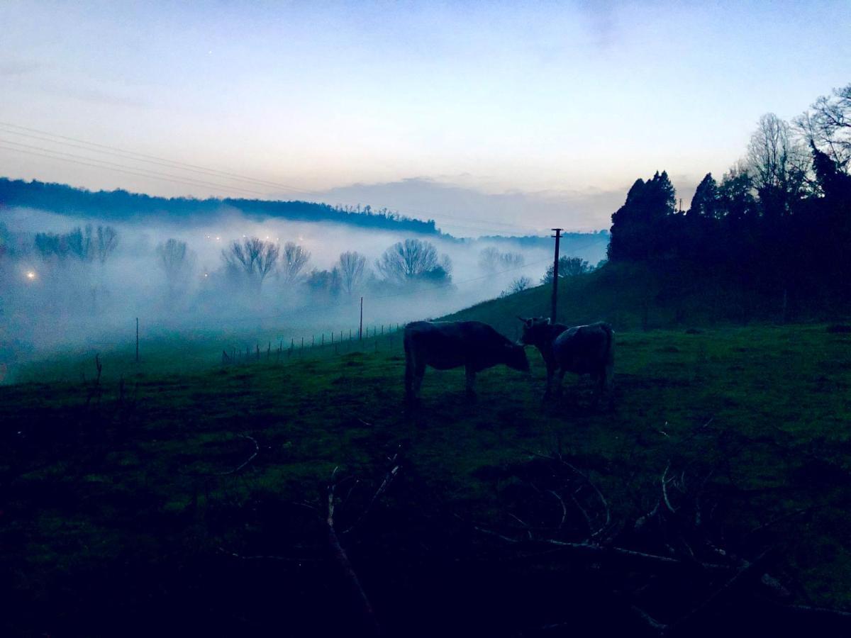 فيلا Fattoria Lucciano Borghetto  المظهر الخارجي الصورة
