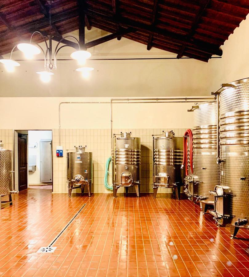 فيلا Fattoria Lucciano Borghetto  المظهر الخارجي الصورة
